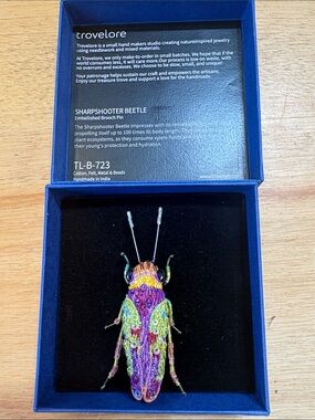 Trovelore Multicolor Sharpshooter Beetle Embellished Brooch Pin